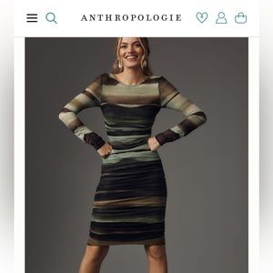Anthropologie Green Mesh Dress